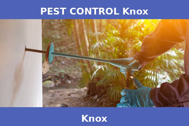 PEST CONTROL Knox